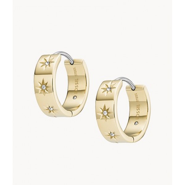 Дамски обеци Fossil JF03870710