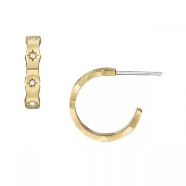 Дамски обеци Fossil JF04380710