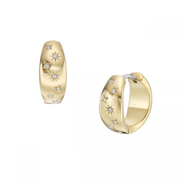 Дамски обеци Fossil JF04240710
